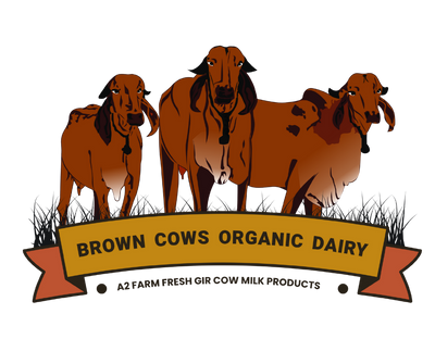 BrownCows Dairy 